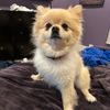 ezbear37