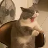 no0nee.here