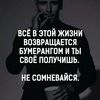 amir563104