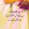 salmanrana308