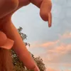 arleoo_
