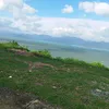 vahai960599