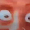 meme_digelybomb