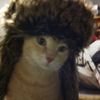 catlover200769