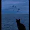 heliuu_04