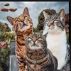 dieseeinekatze_mit_nadine