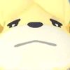 _.camionchan_