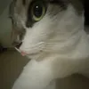 user_696969696969696942