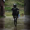 mtb.lothar