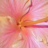 jory1573