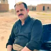 هونةر شيروانى..