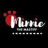 minnie_the_mastiff