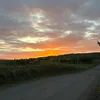 emily_hillx