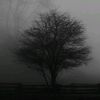 seba_intp
