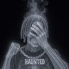 haunt.vfx