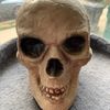 spookyskeleton2.0