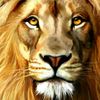 rsssingh5