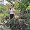 phuongle123455