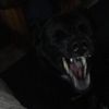 jacobmorris_2