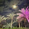 mahmoudfarajabuprestige