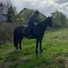 freya_1706