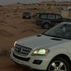 alzhaf06