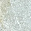 ronzaronza07