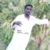 user9420135370601