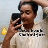 shehmirofficial