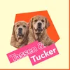 tassenandtucker
