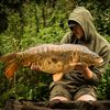 carpy.kyle