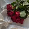 neziha_lhrim