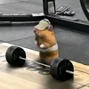 gym_sl1