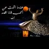 shkwr1971