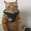 comedyanddocumentary