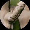 xyi_838