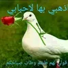 user8507165921450aso