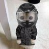 rexman_147