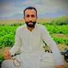 basharat590