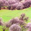 _abo_abdalh