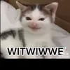 ttv_shortfyooz