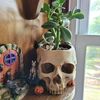 i.love.spookyshit