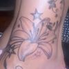 tini_lotus