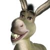 alibrarystanaccount