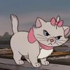 katt3110