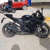 gaturro075