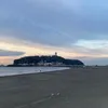 beach.cleaner