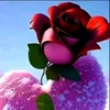 user1ahb10mlmj