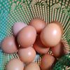 emak.ndeso4