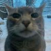 shaadesu_